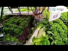 De op zwaar werk berekende Kuka-Systemen van het Robotwapen voor de DELTArobots van Kr in de Behandeling van Verpakkend 7 Dof Wapen