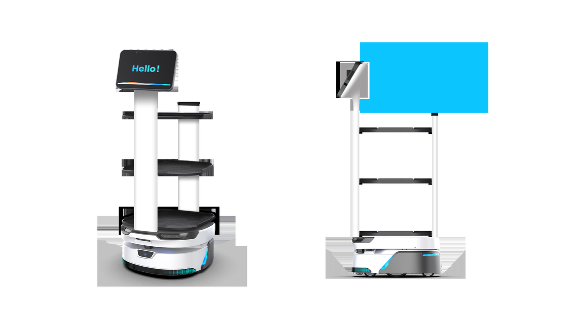 80 kg belastinggewicht collaboratieve robotarm met een maximaal kaartgebied van 500 m * 500 m